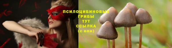 ПСИЛОЦИБИНОВЫЕ ГРИБЫ Балахна