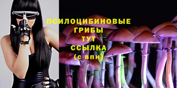 2c-b Киреевск