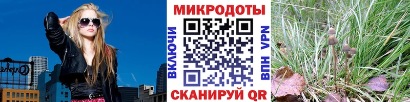 гидра вход  Яровое  Псилоцибиновые грибы Psilocybine cubensis 